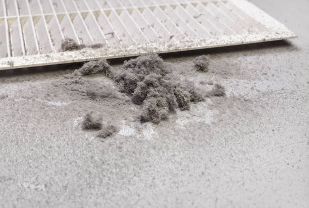 Best HVAC Air Duct Cleaning  in Bellevue, PA