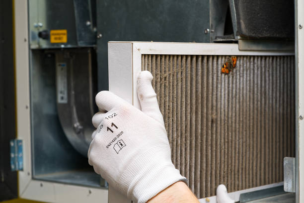 Best Local Air Duct Cleaning Services  in Bellevue, PA