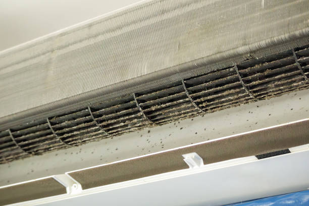 Best Affordable Duct Cleaning Services  in Bellevue, PA